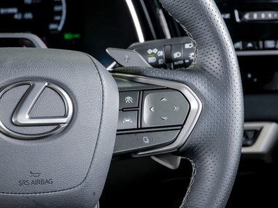2025 Lexus RX thumbnail 54