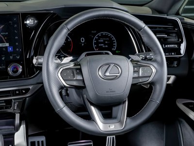 2025 Lexus RX thumbnail 52