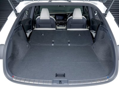 2025 Lexus RX thumbnail 21