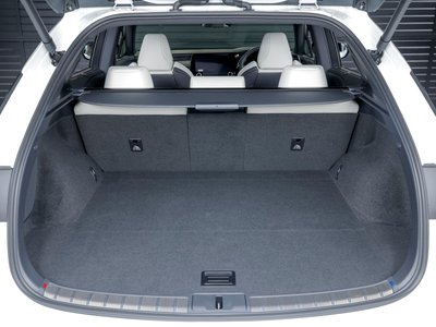 2025 Lexus RX thumbnail 20
