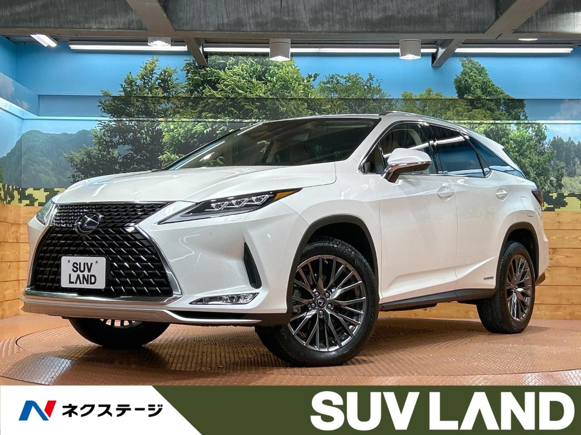 LEXUS RX - View 1