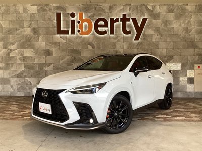 LEXUS NX - 1