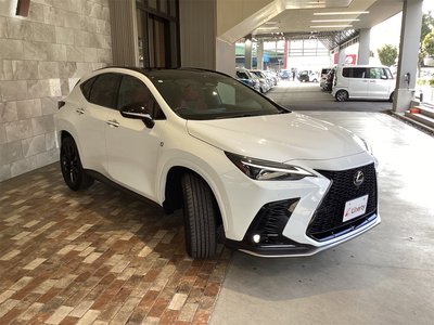 LEXUS NX - 6