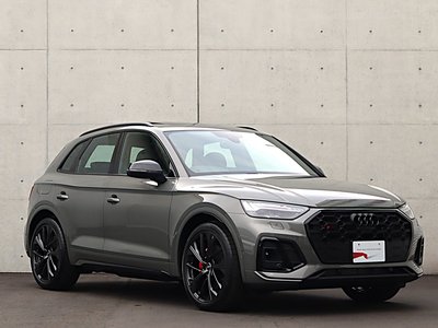 AUDI SQ5 - 6