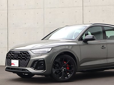 AUDI SQ5 - 4