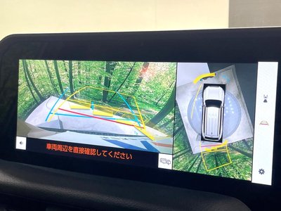 TOYOTA LAND CRUISER 250 - 6