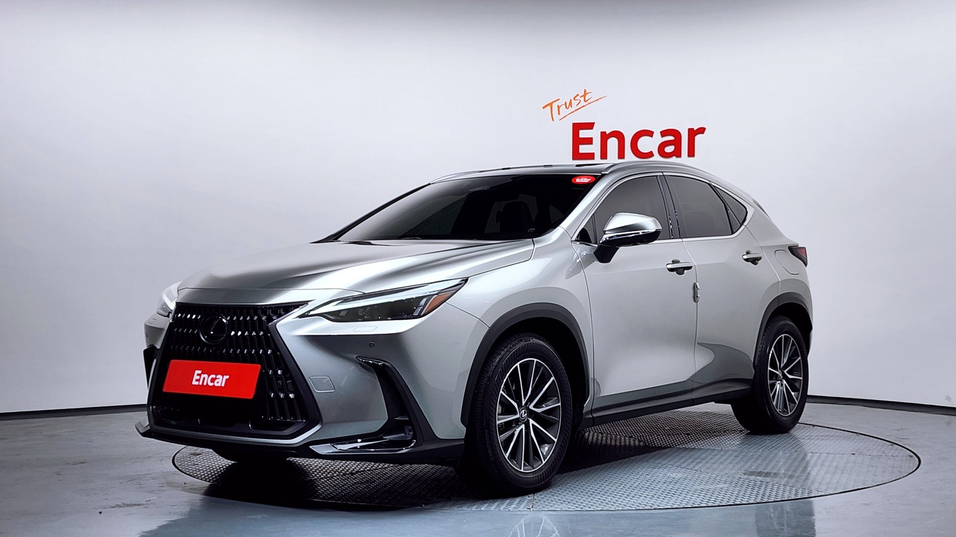 LEXUS NX - View 1