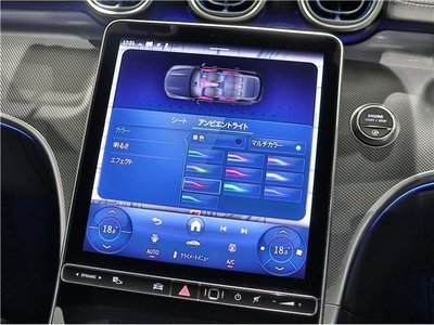 2025 Mercedes-BENZ C-CLASS thumbnail 31
