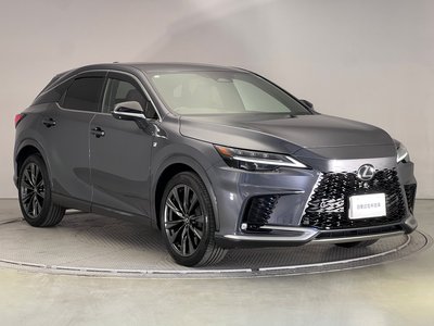 LEXUS RX - 10