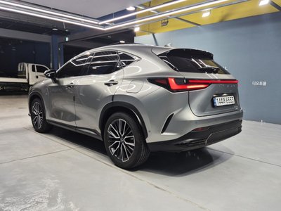 2024 LEXUS NX 缩略图 6