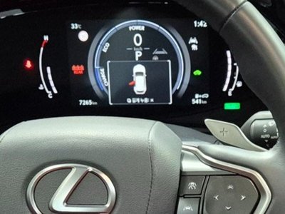 2024 LEXUS NX 缩略图 19