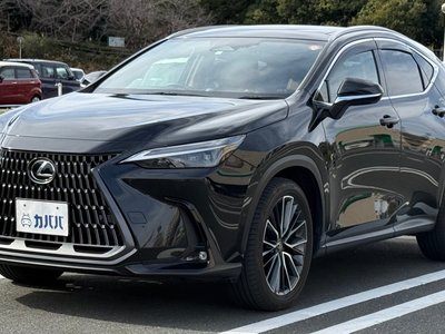 LEXUS NX - 1
