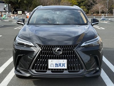 LEXUS NX - 2
