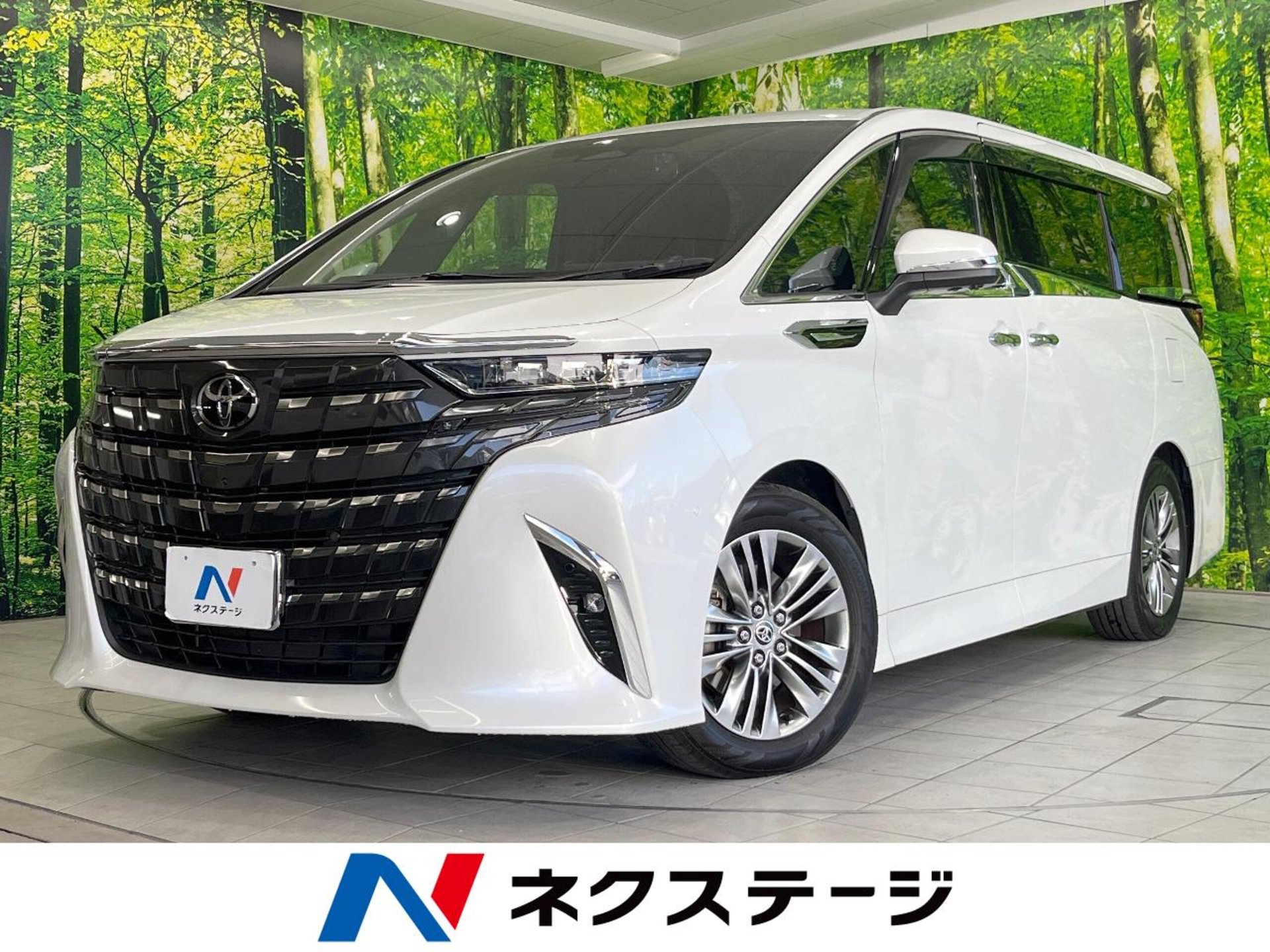 TOYOTA ALPHARD - View 1