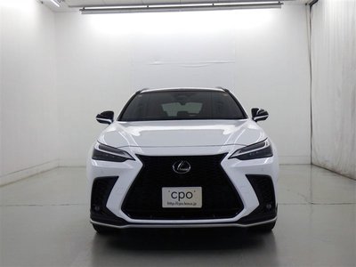 LEXUS NX - 4