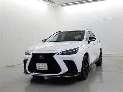 LEXUS NX - 1