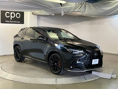 2023 Lexus NX 照片 10