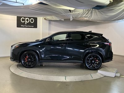 2023 Lexus NX 照片 6