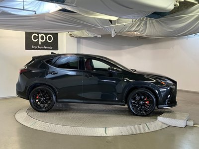 2023 Lexus NX 照片 9