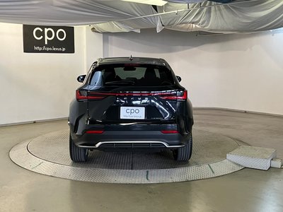 2023 Lexus NX 照片 7