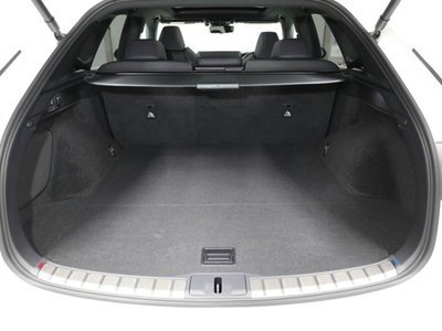 2024 Lexus RX thumbnail 21
