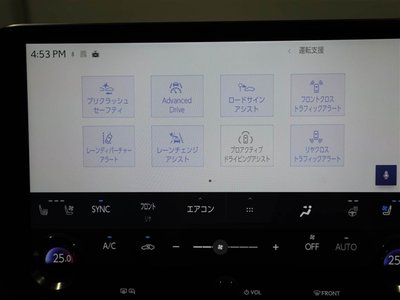 2024 Lexus RX thumbnail 28