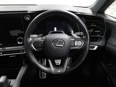 2024 Lexus RX thumbnail 25
