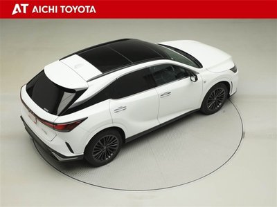 2024 Lexus RX thumbnail 14