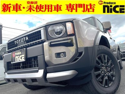 TOYOTA LAND CRUISER 250