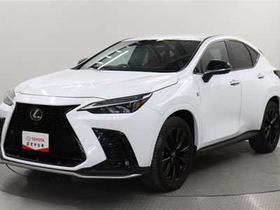 LEXUS NX - 1