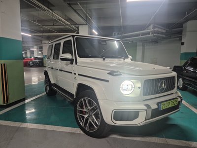 MERCEDES-BENZ G-CLASS - 1