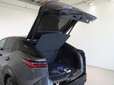2023 Lexus RZ thumbnail 23