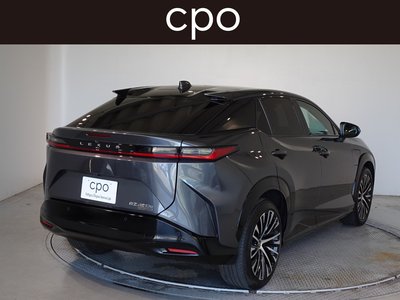 2023 Lexus RZ photo 8