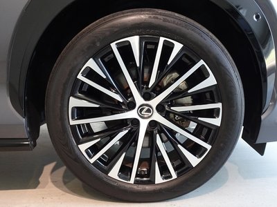 2023 Lexus RZ thumbnail 26