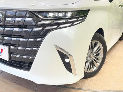 2025 TOYOTA ALPHARD 缩略图 13