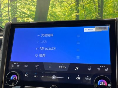2025 TOYOTA ALPHARD 缩略图 54