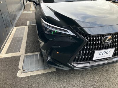 2025 Lexus NX 缩略图 25
