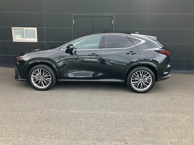 LEXUS NX - 5