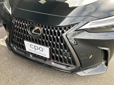 2025 Lexus NX 缩略图 20