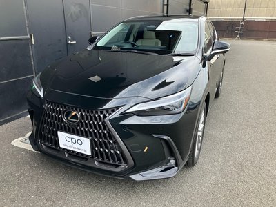 2025 Lexus NX 缩略图 18