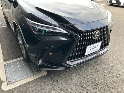 2025 Lexus NX 缩略图 24