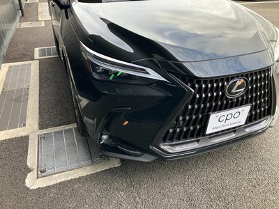 2025 Lexus NX 缩略图 22