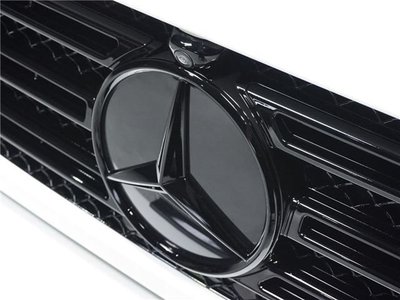2020 Mercedes-BENZ G-CLASS 缩略图 19