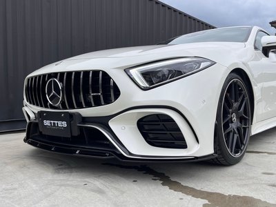 2019 Mercedes-BENZ CLS — миниатюра 13