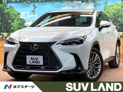 LEXUS NX - 1