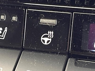 2024 Toyota LAND CRUISER 250 thumbnail 48