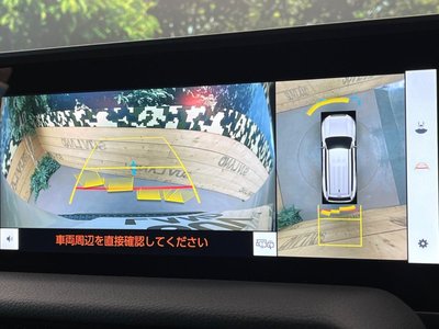 TOYOTA LAND CRUISER 250 - 8