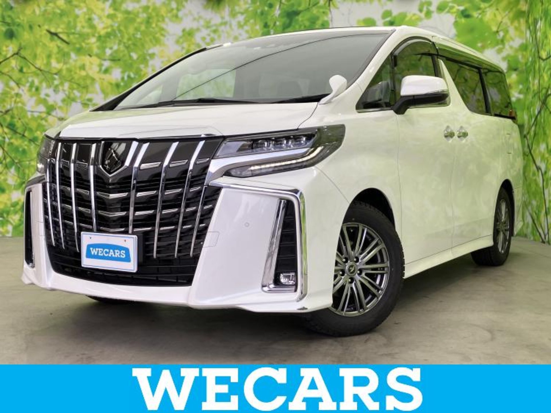 TOYOTA ALPHARD - View 1