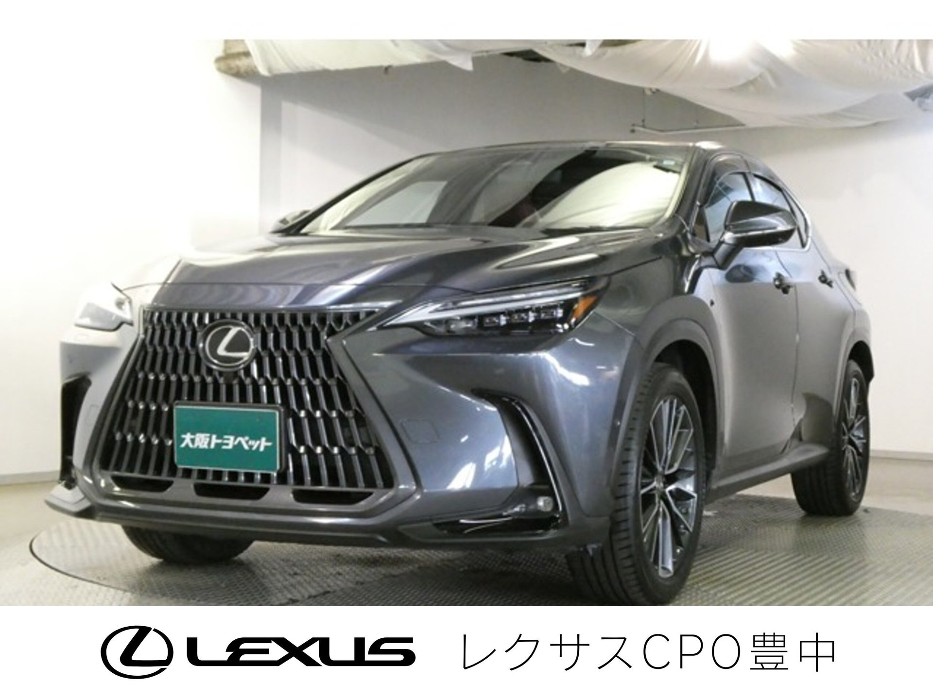 LEXUS NX - View 1