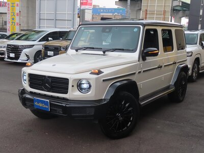 MERCEDES-BENZ G-CLASS - 5